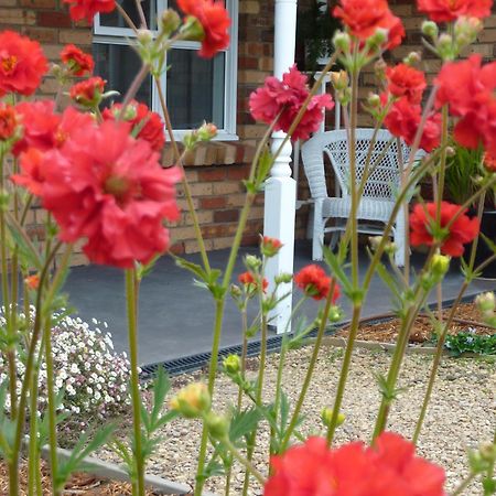 Hazelcreek Cottages Exeter Екстер'єр фото